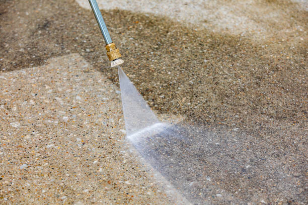 Best Warehouse Cleaning  in Homer, IL