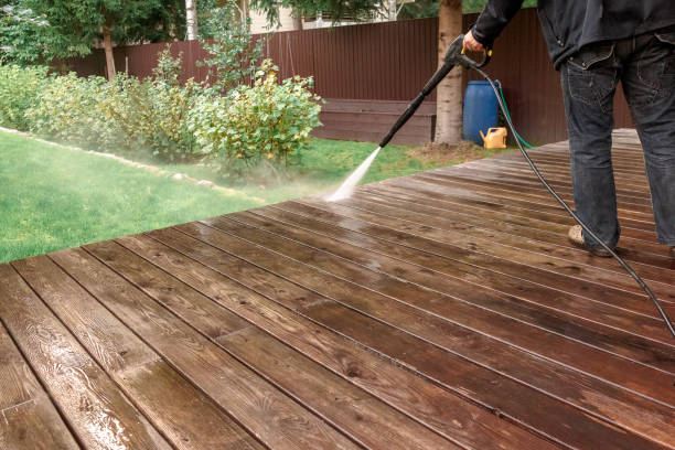 Best Roof Washing  in Homer, IL