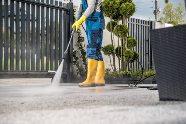 Best Rust Removal  in Homer, IL