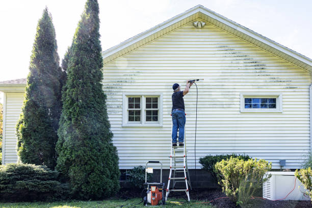 Best Restaurant Pressure Washing  in Homer, IL